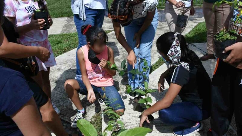 PROMUEVE ECOLOGÍA Y MEDIO AMBIENTE CUIDADO DE ÁRBOLES
