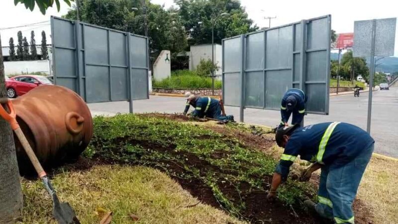 PROYECTA PARQUES Y JARDINES LA SIEMBRA DE 3 MIL PLANTAS EN BULEVARES DE LA CIUDAD