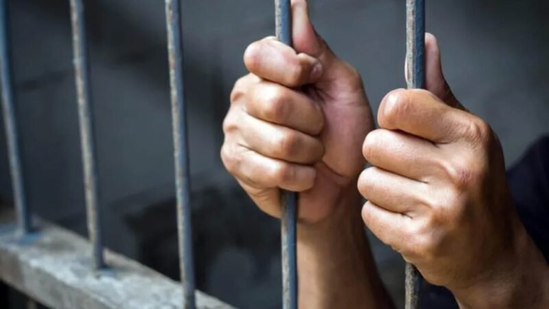 POR LEY DE AMNISTÍA HAN SIDO LIBERADAS 209 PERSONAS EN MÉXICO
