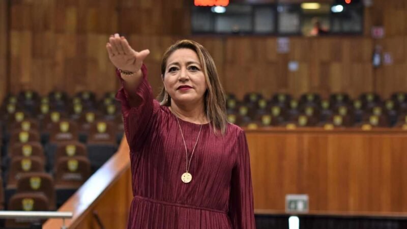 ASUME ELISA MOHEDANO DIPUTACIÓN LOCAL DEL DISTRITO IV DE ÁLAMO TEMAPACHE