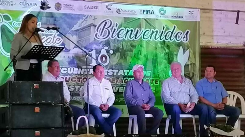 AGUACATEROS DE LA ZONA VAN POR LA EXPORTACIÓN