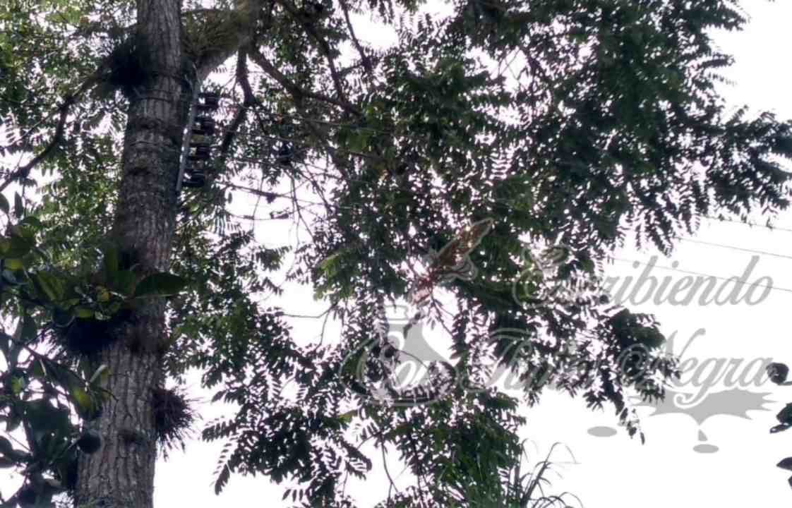 EXHIBEN TRABAJOS “CHAMBONES” DE LA CFE