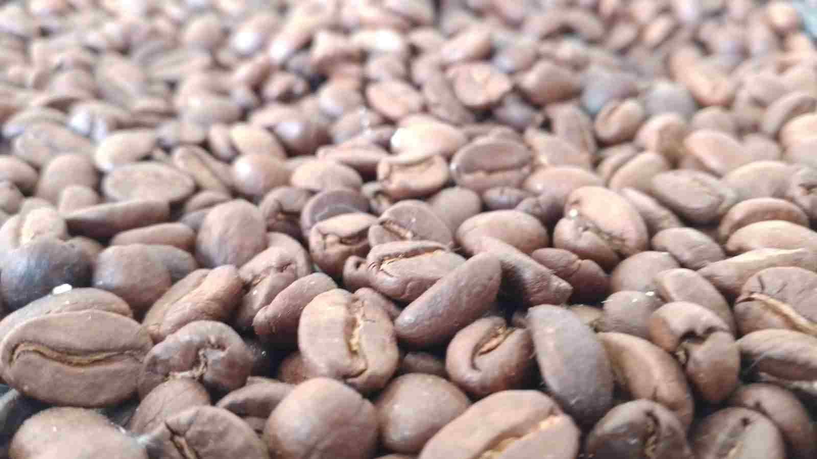 URGEN CANDADOS A IMPORTACIONES DE CAFÉ