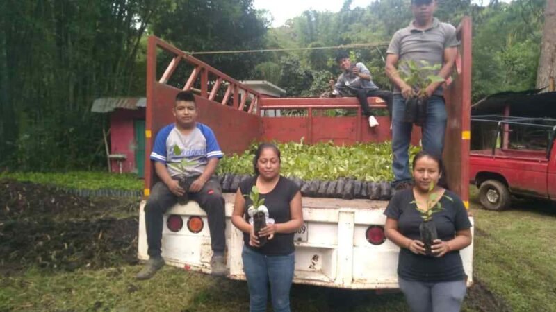TRABAJAN EN LA CONSERVACIÓN DE LA BIODIVERSIDAD DE IXHUATLÁN DEL CAFÉ