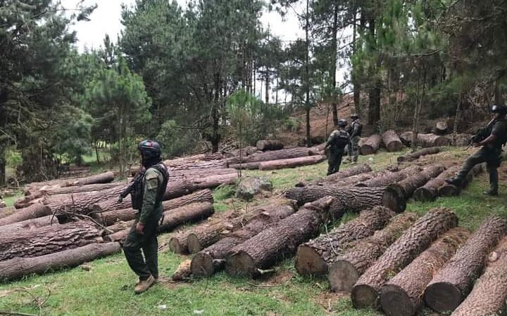 CLAUSURAN PREDIO FORESTAL EN AYAHUALULCO