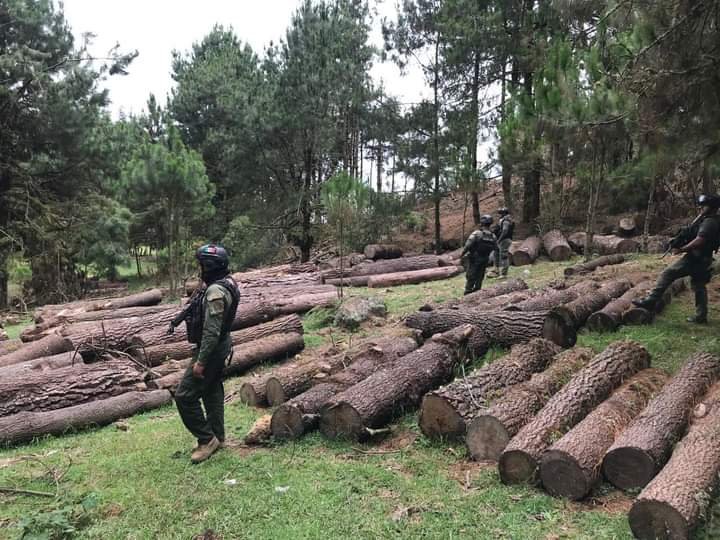CLAUSURAN PREDIO FORESTAL EN AYAHUALULCO