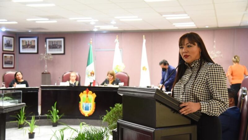 PIDE DIPUTADA A AYUNTAMIENTOS IMPLEMENTAR ACCIONES PARA COMBATIR EL TRABAJO INFANTIL