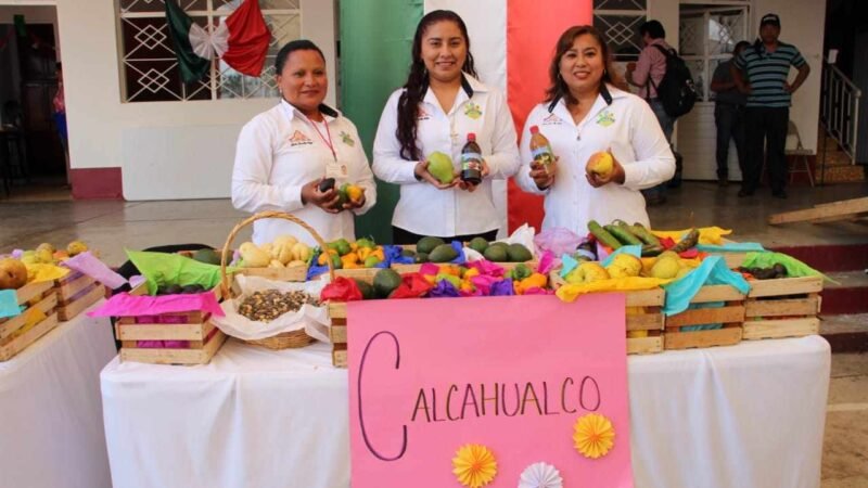 PROYECTAN A CALCAHUALCO A NIVEL REGIONAL
