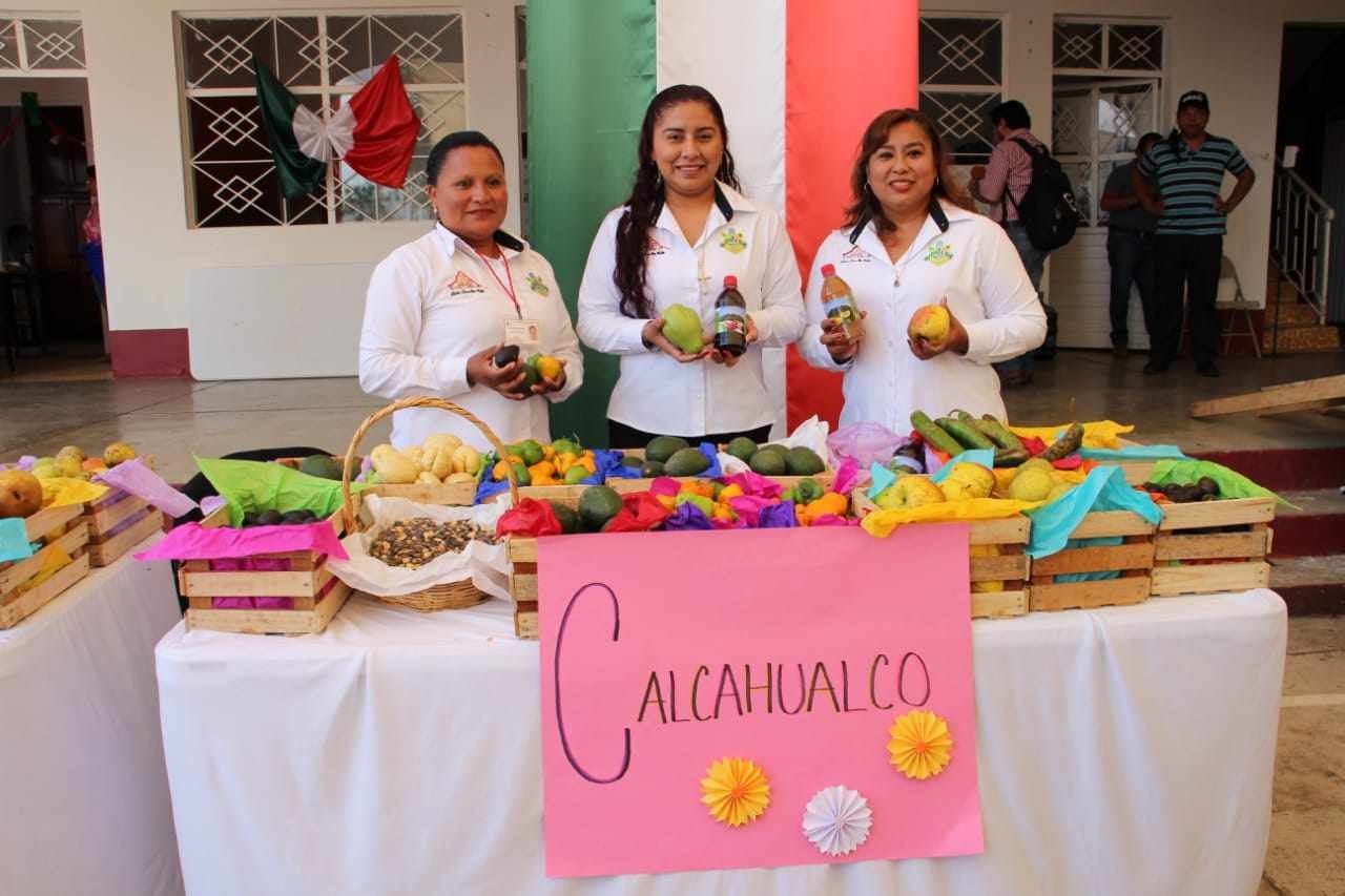 PROYECTAN A CALCAHUALCO A NIVEL REGIONAL
