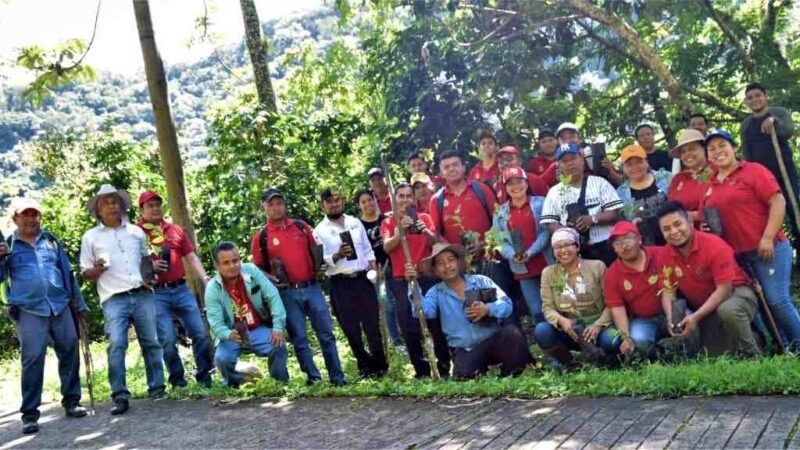 REFORESTAN IXHUATLÁN DEL CAFÉ