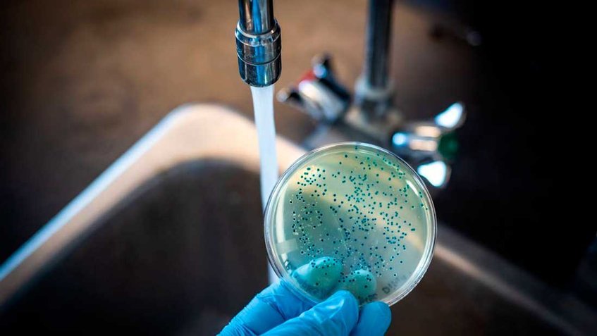 BROTES DE CÓLERA ALREDEDOR DEL MUNDO: OMS