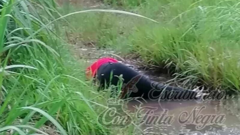 EJECUTADO EN OMEALCA