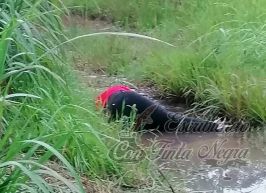 EJECUTADO EN OMEALCA