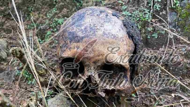 “ESCAPAN” MUERTOS DEL PANTEÓN