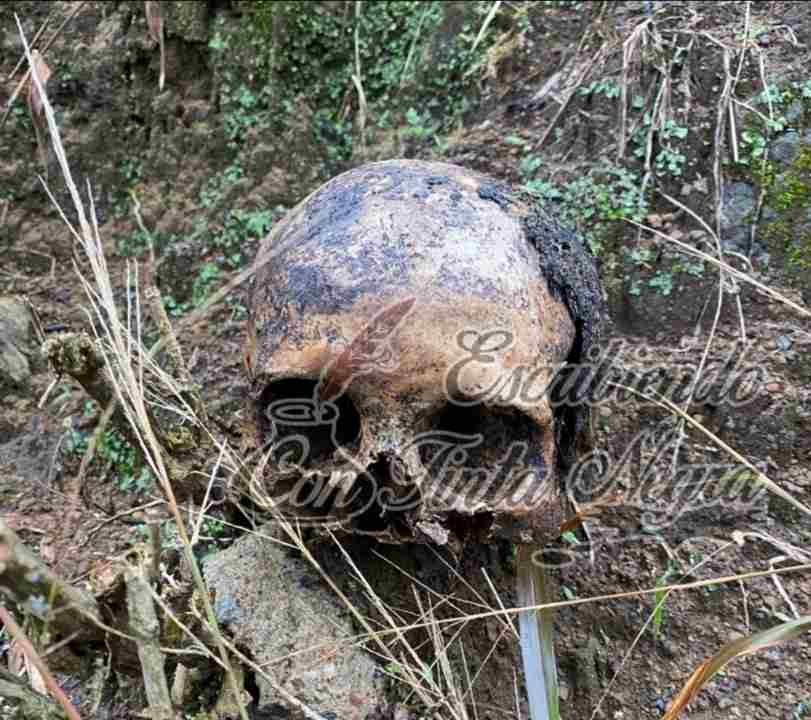 “ESCAPAN” MUERTOS DEL PANTEÓN