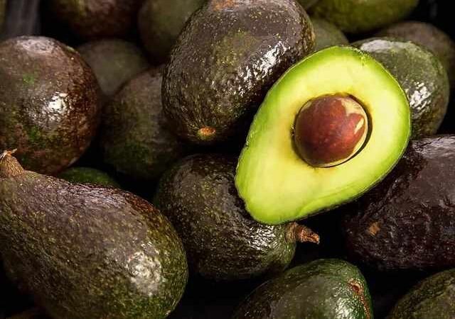 AGUACATE MEXICANO EN ESTADOS UNIDOS ES FUENTE DE RIQUEZA PARA AMBOS LADOS