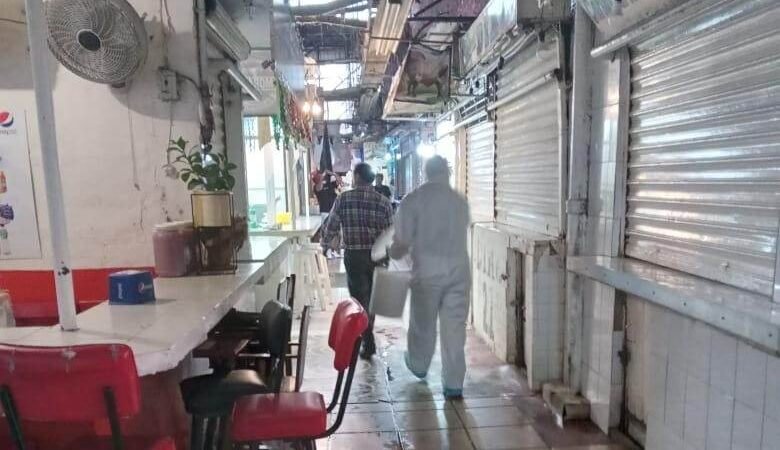 FUMIGAN MERCADOS DE CÓRDOBA