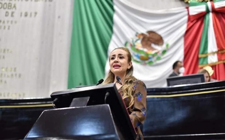 URGEN POLICÍAS BIEN CAPACITADOS; NORA LAGUNES