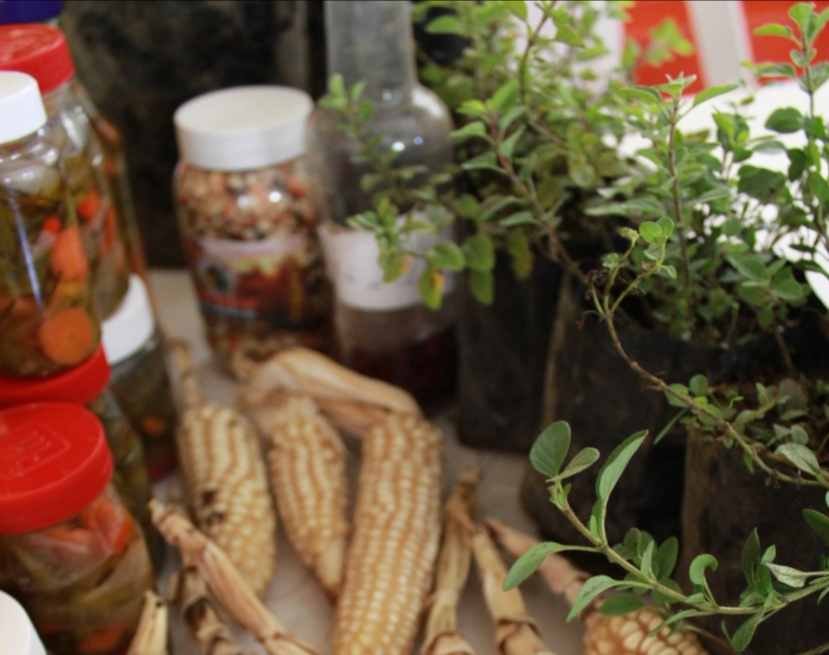 LLEVARÁN FORO AGROECOLÓGICO A VILLA LIBERTAD