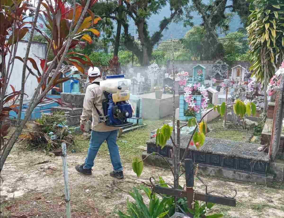 CONCLUYE VECTORES FUMIGACIÓN DE PANTEONES