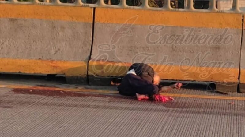 MUERE AL SER ARROLLADO EN LA AUTOPISTA