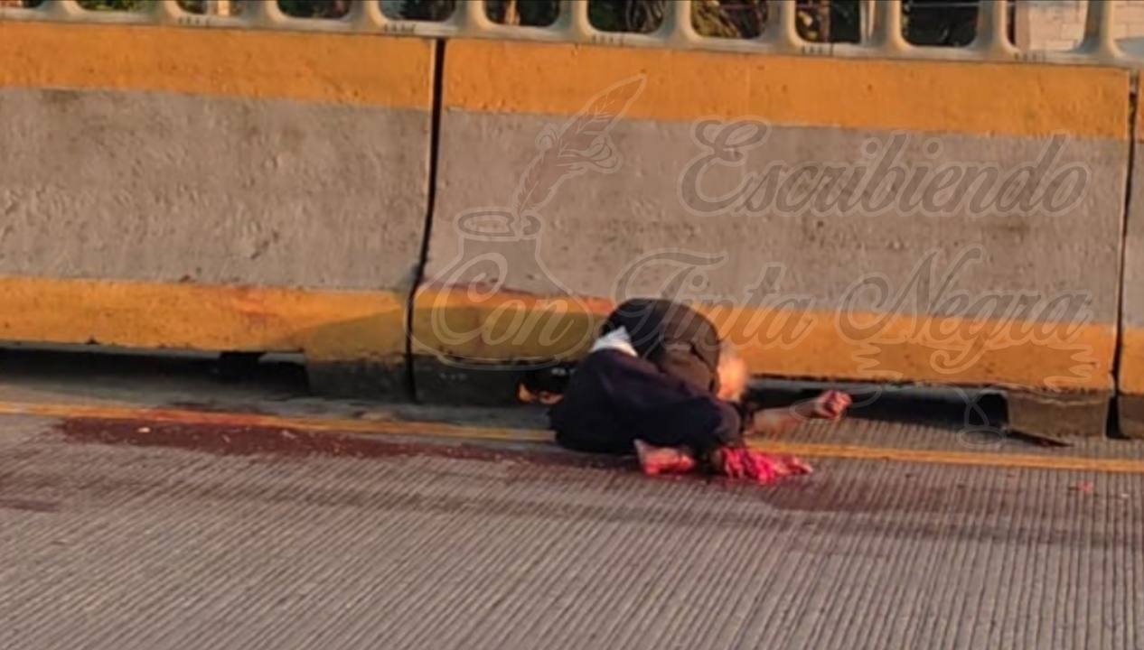 MUERE AL SER ARROLLADO EN LA AUTOPISTA