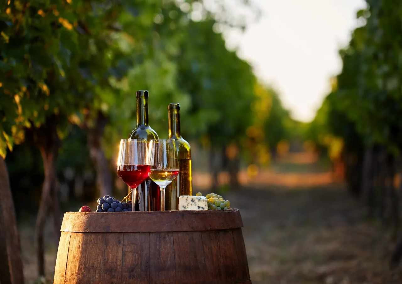 MÉXICO Y FRANCIA ACUERDAN IMPULSAR LA INDUSTRIA DEL VINO