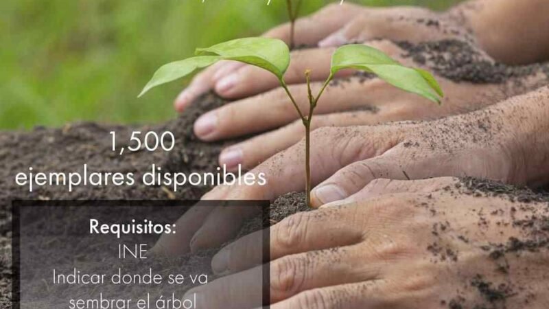 INVITA ECOLOGÍA A ADOPTAR UN ÁRBOL DEL PROGRAMA “SEMBREMOS VIDA”