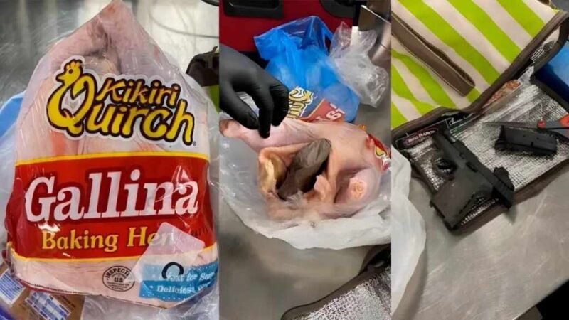 DETIENEN A MUJER EN AEROPUERTO POR LLEVAR UNA PISTOLA DENTRO DE UNA GALLINA