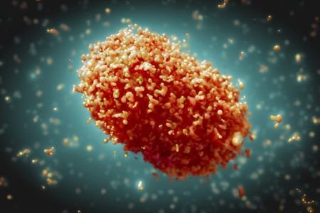 MÉXICO SUPERA LOS TRES MIL CASOS CONFIRMADOS DE VIRUELA DEL MONO