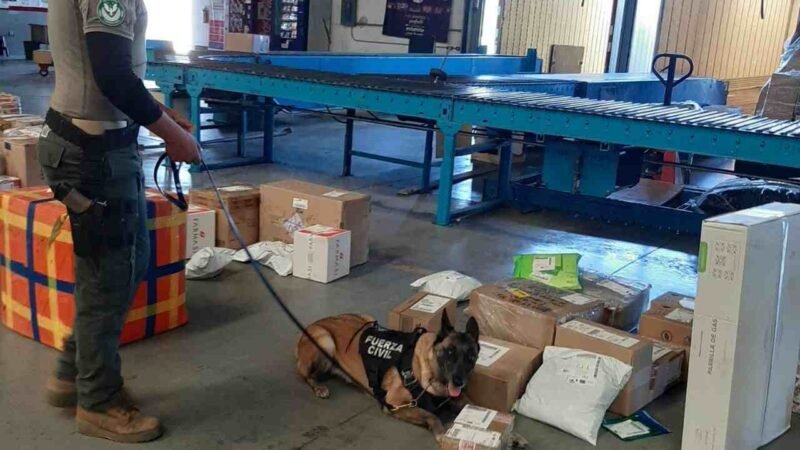 ASEGURAN DROGA EN ESTABLECIMIENTO DE ENVÍO DE PAQUETERÍA