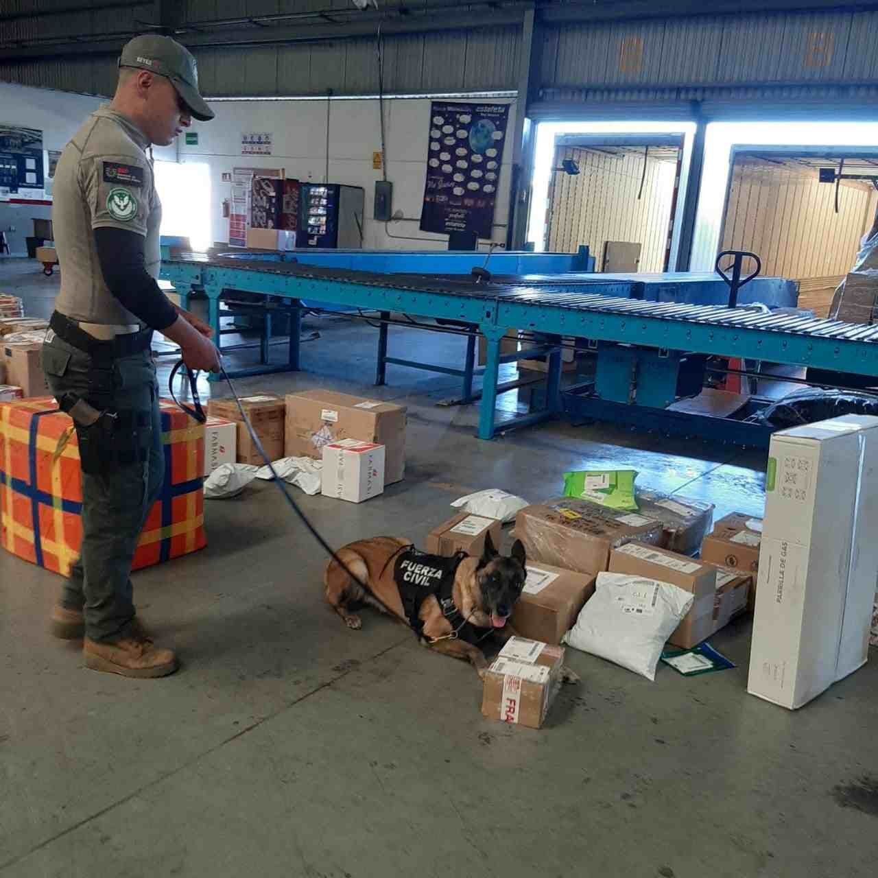 ASEGURAN DROGA EN ESTABLECIMIENTO DE ENVÍO DE PAQUETERÍA