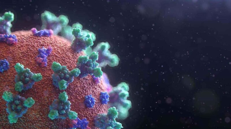 SE REGISTRA EN MÉXICO LOS PRIMEROS CASOS DE “PERRO DEL INFIERNO”, NUEVA VARIANTE COVID-19