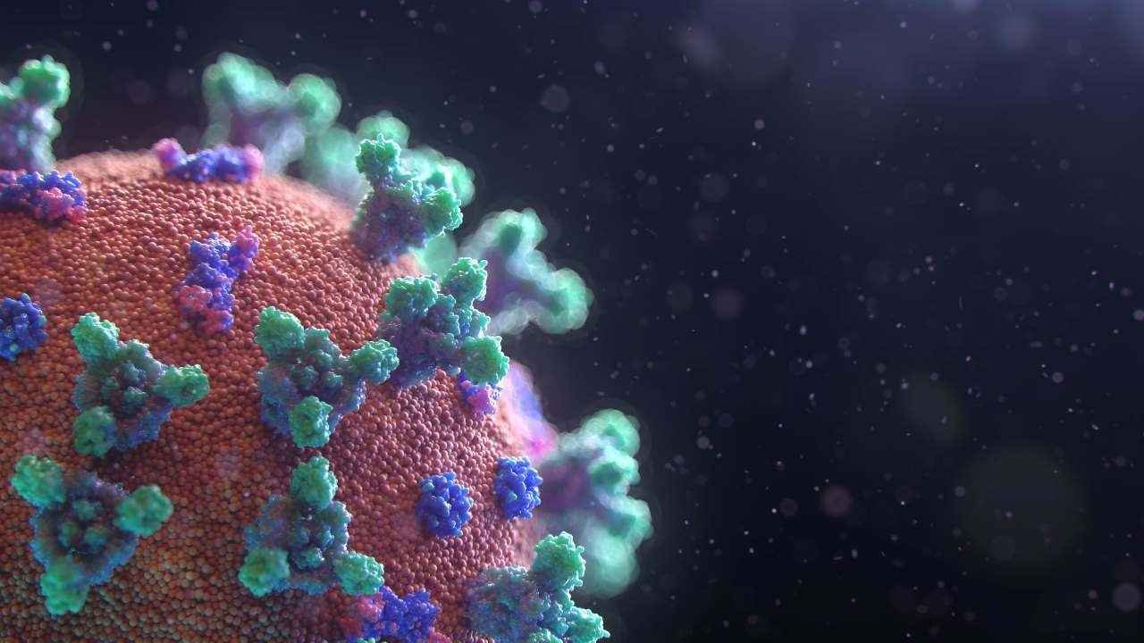 SE REGISTRA EN MÉXICO LOS PRIMEROS CASOS DE “PERRO DEL INFIERNO”, NUEVA VARIANTE COVID-19