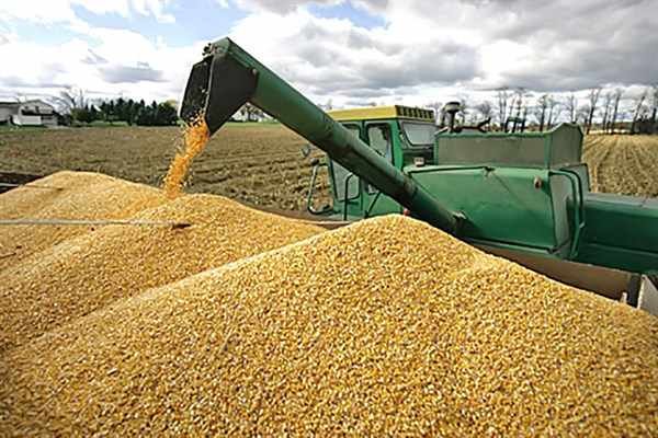 RUSIA Y UCRANIA PROLONGAN 120 DÍAS LA EXPORTACIÓN DE CEREALES Y FERTILIZANTES