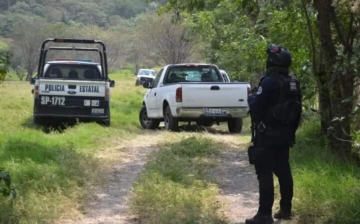 SE CUELGA DE UN ÁRBOL