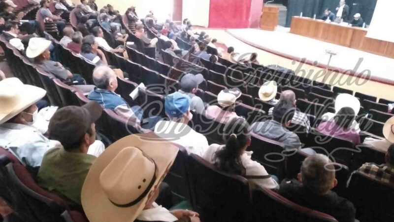 NO ES NECESARIA FIRMA ELECTRÓNICA: AMECAFÉ