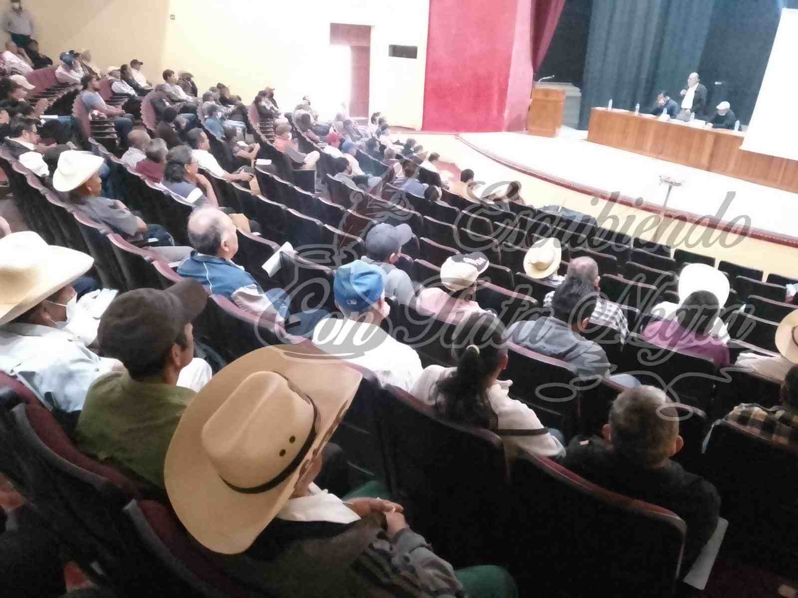 NO ES NECESARIA FIRMA ELECTRÓNICA: AMECAFÉ