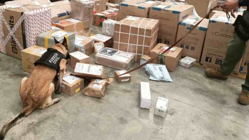 ENVIABAN DROGA A DOMICILIO Y LOS DESCUBRE LA POLICÍA