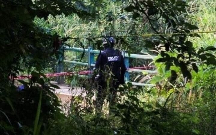 ASESINAN A MUJER A GOLPES EN PLENO FESTEJO CONTRA LA VIOLENCIA