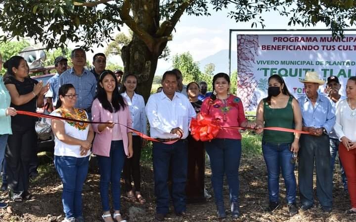 PONEN EN FUNCIONAMIENTO VIVERO DE CAFÉ EN TOMATLÁN