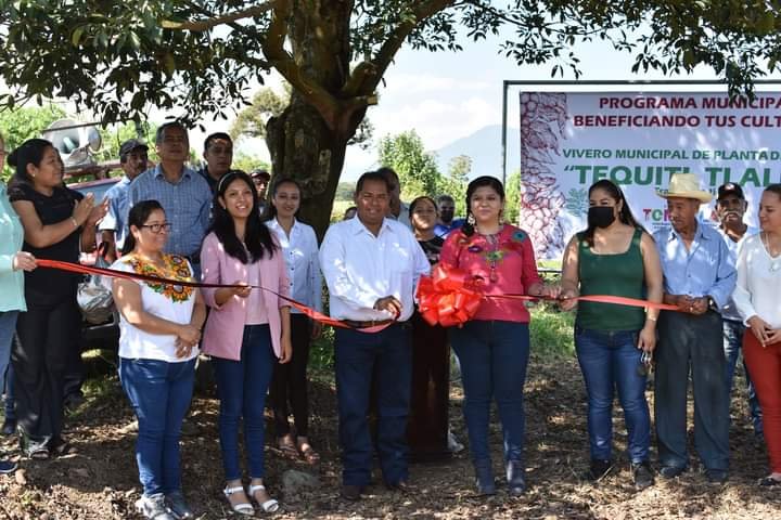 PONEN EN FUNCIONAMIENTO VIVERO DE CAFÉ EN TOMATLÁN