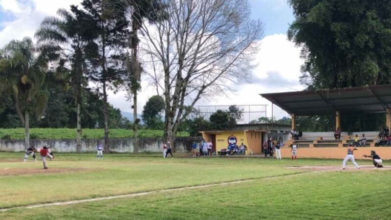 CACHORROS DE COSCOMATEPEC SE IMPONEN A BRAVOS DE PEÑUELA