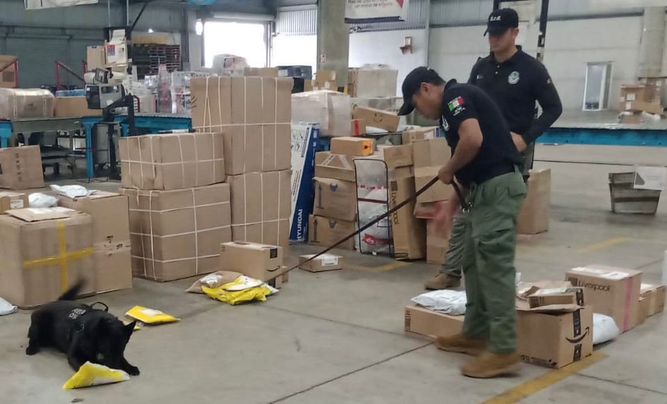 ENCUENTRAN DROGA EN EMPRESA DE PAQUETERÍA