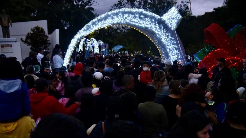 ACUDEN MILES DE CORDOBESES AL ENCENDIDO DEL PARQUE ILUMINADO ALAMEDA