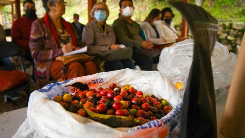 IMPARTEN A PRODUCTORES TALLER “CALIDAD DEL CAFÉ: MANEJO INTEGRADO POSTCOSECHA”