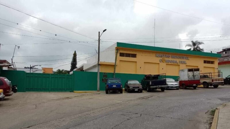 AUMENTAN SACRIFICIOS EN RASTRO DE CÓRDOBA