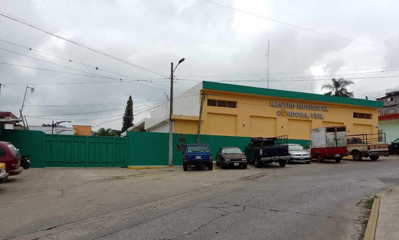 AUMENTAN SACRIFICIOS EN RASTRO DE CÓRDOBA