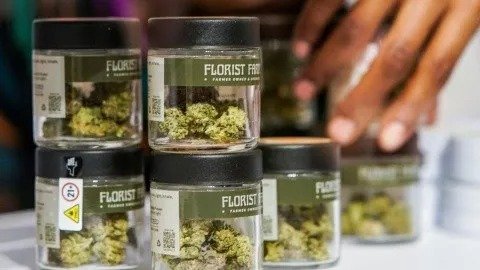 NUEVA YORK ABRE LA PRIMERA TIENDA LEGAL DE MARIGUANA