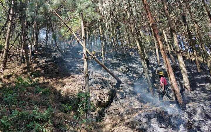 SE PREPARAN ANTE TEMPORADA DE INCENDIOS FORESTALES